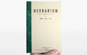 Classy Business Cards