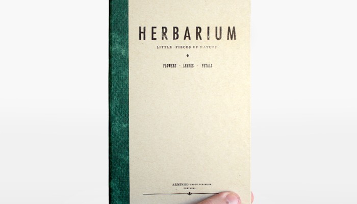 Classy Business Cards